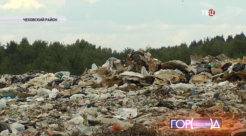 Свалка мусора в Чеховском районе Подмосковья 