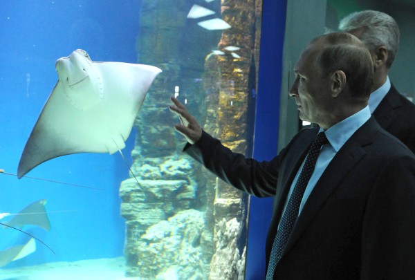 Президент России Владимир Путин и мэр Москвы Сергей Собянин во время осмотра океанариума 