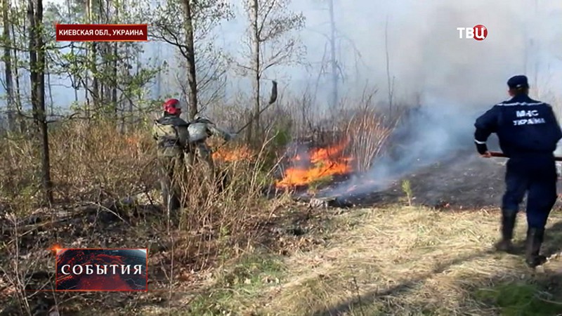 Лесной пожар на Украине