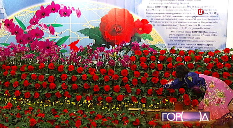 Выставка цветов из КНДР