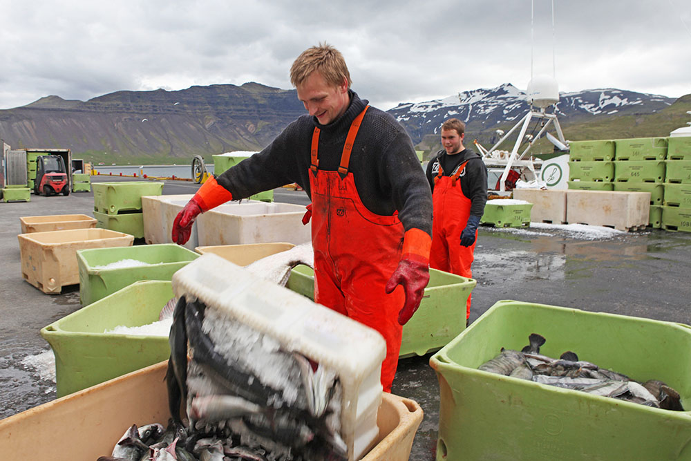 Исландские рыболовы