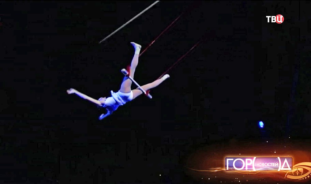 Воздушная гимнастка в цирке