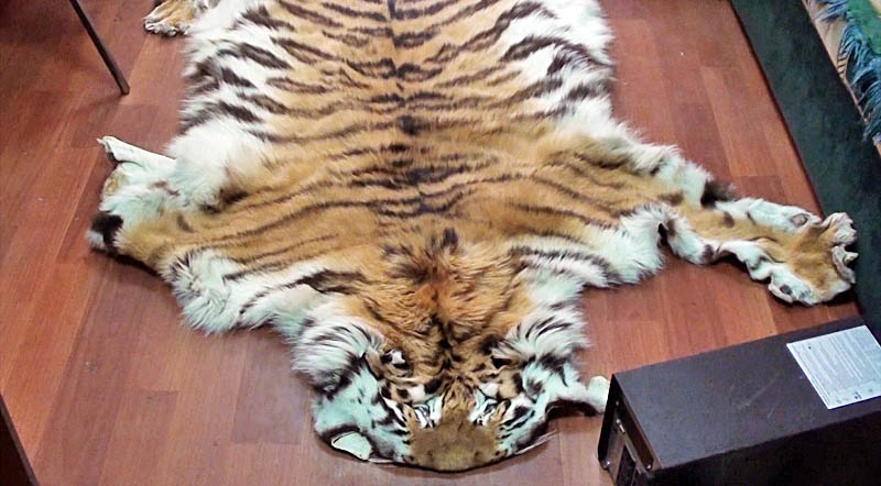 Коврик декоративный - шкура Тигра