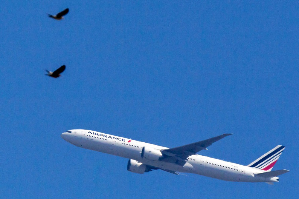 Рейс air france. Французский Боинг. Самолет Китай Пулково. Самолëты Эйр Франс. Эз Франс самолет приземляется в Париже.