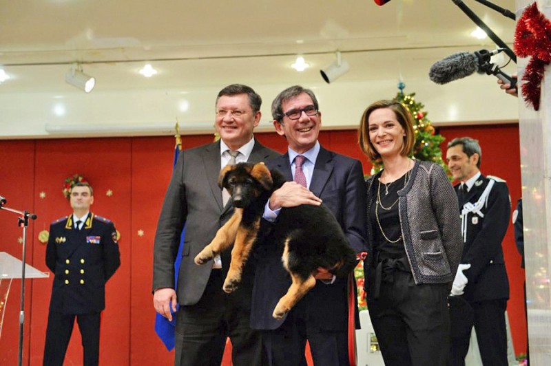 Посол Франции в России Жан-Морис Рипер во время церемонии передачи в дар французской полиции щенка Добрыни в посольстве Франции в Москве