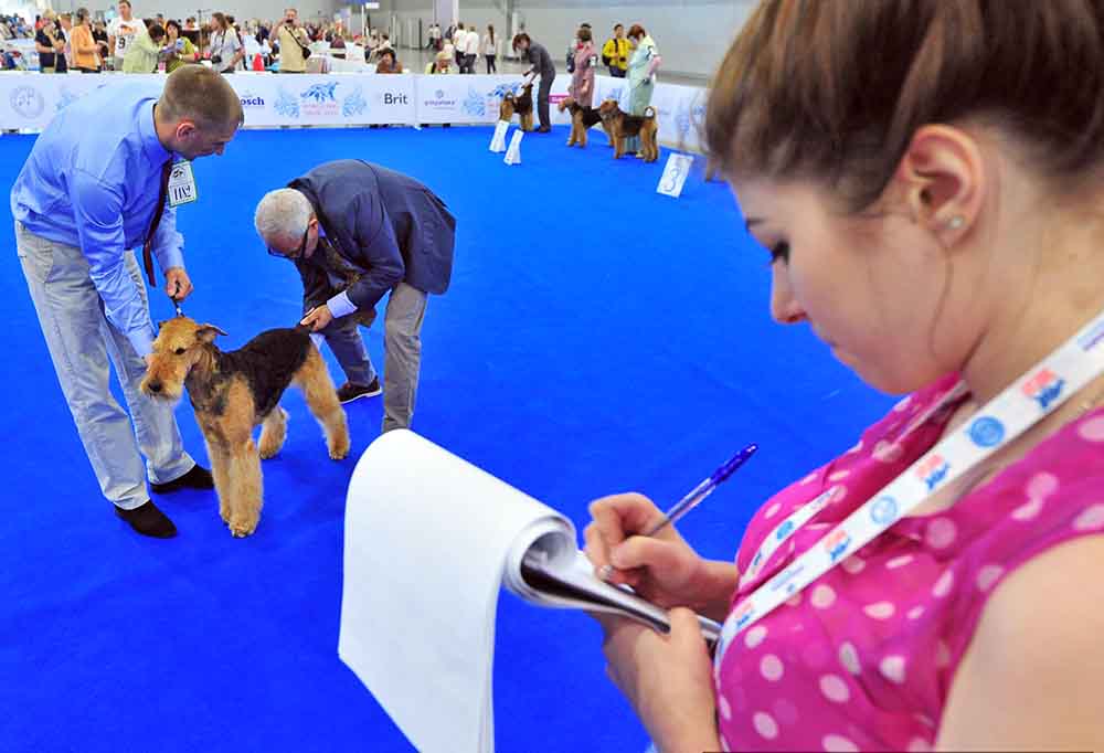 23 выставка собак москва. Сфера выставка собак. Мир выставка собак 2016. Крокус Экспо выставки собак.