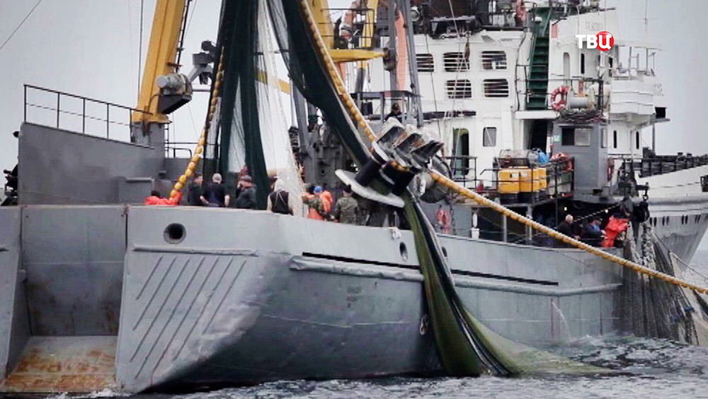 Фарпост владивосток работа в море матрос. Стеркодеры Дальний Восток. Дефриз Владивосток компания. Суды дальнего плавания Камчатка.