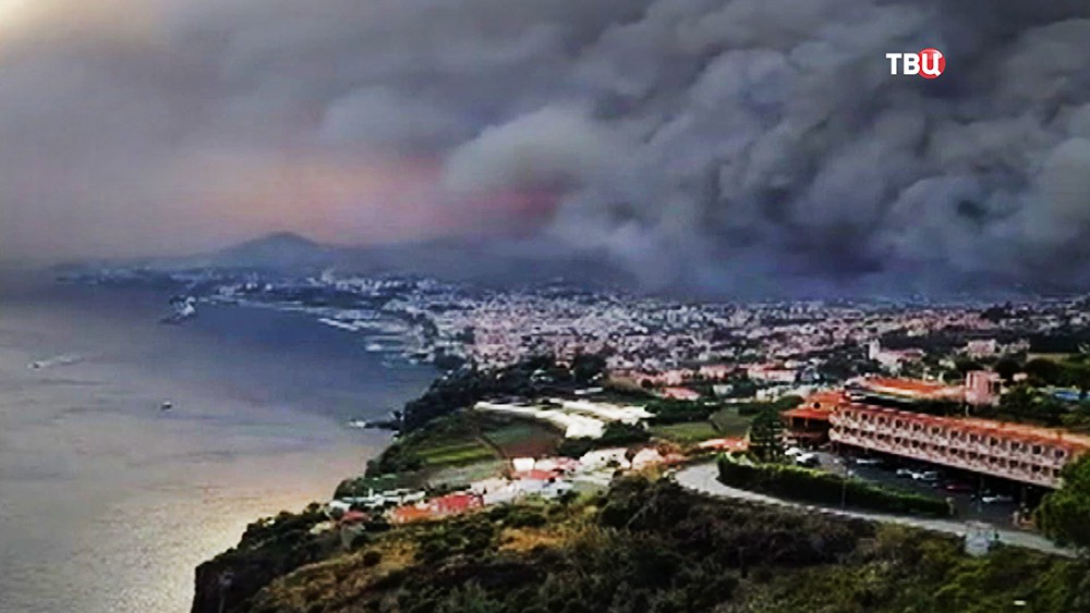Лесные пожары в Португалии
