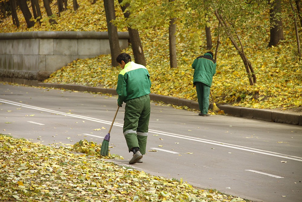 Дворник москва