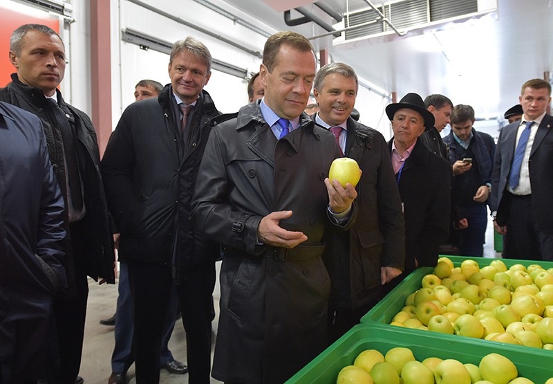 Дмитрий Медведев в агрокомплексе "Сад-гигант Ингушетия" 