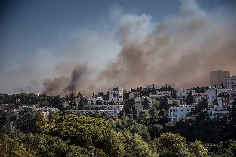 Лесные пожары в Израиле 