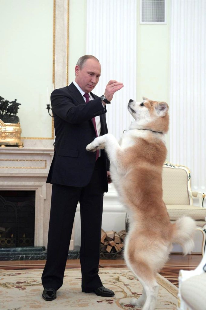 Владимир Путин и собака Юмэ