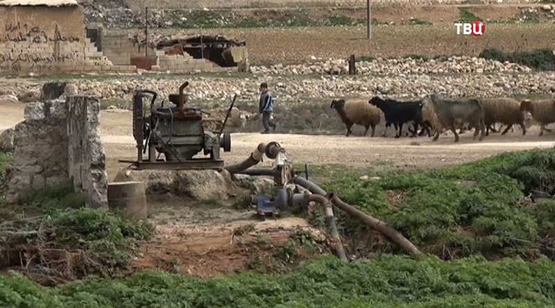 Ферма в Сирии
