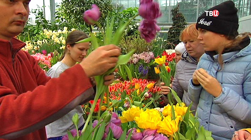 Посетителям раздают цветы в "Аптекарском огороде"