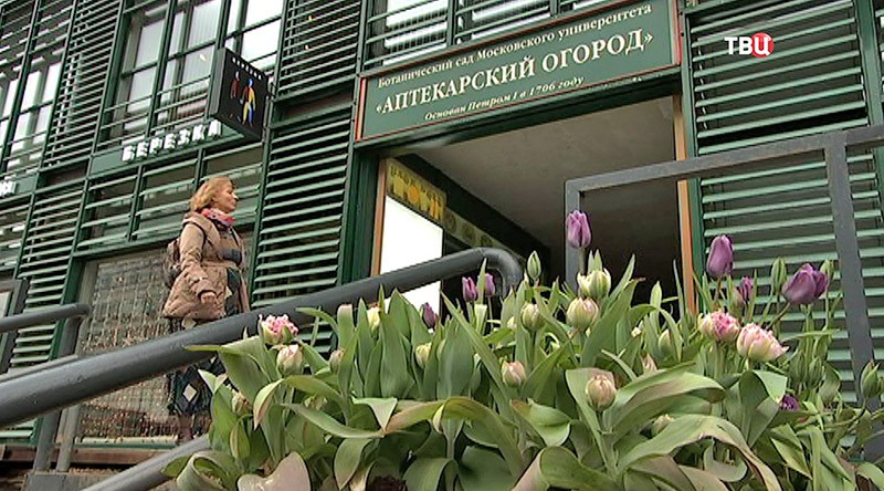 Ботанический сад  "Аптекарский огород"