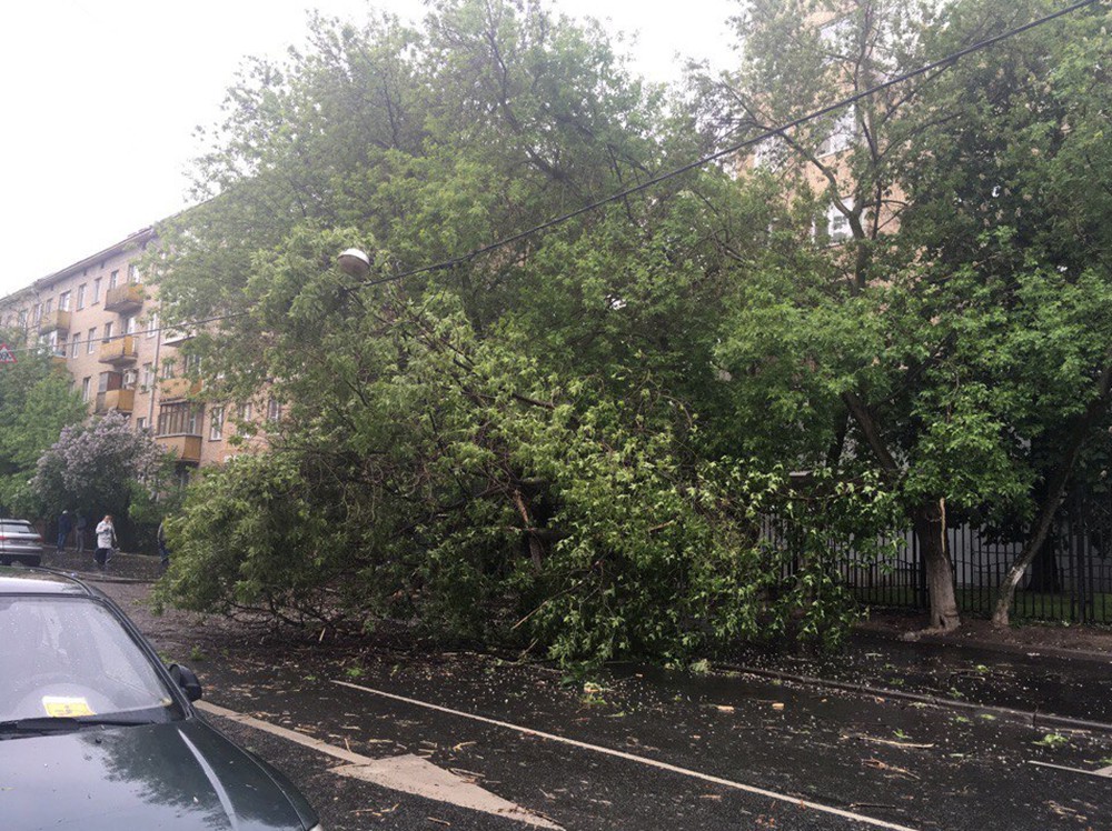 Последствия урагана в Москве 