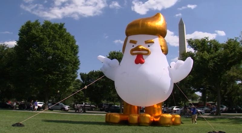Надувная курица-Трамп