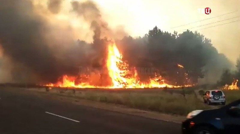 Пожар в Ростовской области