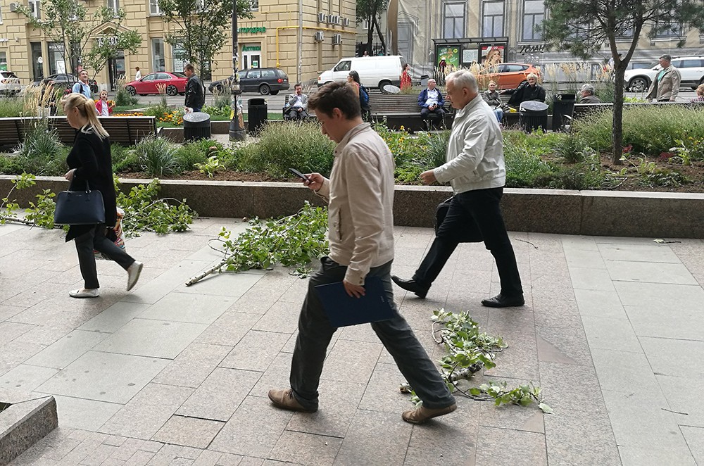 Последствия урагана в Москве 