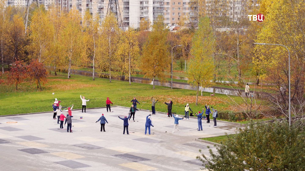 Пенсионеры делают гимнастику в парке