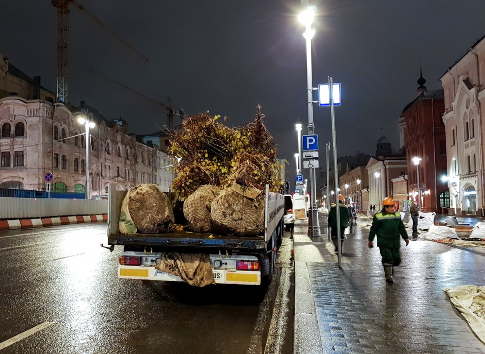 Высадка деревьев на Новой площади