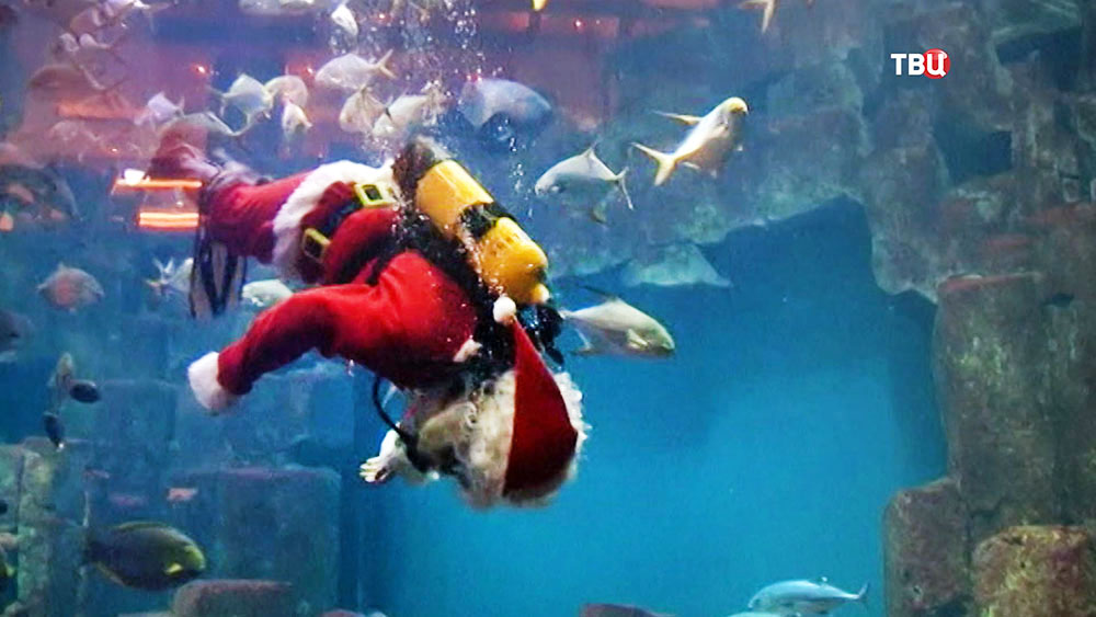 Санта Клаус плавает в аквариуме с рыбами