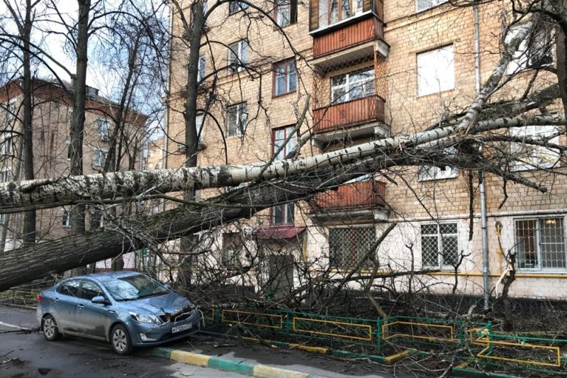 Последствия мощного урагана в Москве