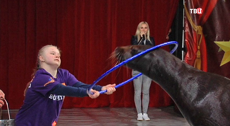 Открытая репетиция для детей в Цирке