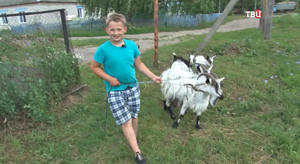10-летний фермер ухаживает за козами 