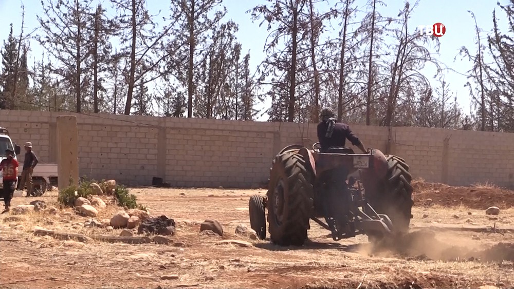 Фермерское хозяйство в Сирии 