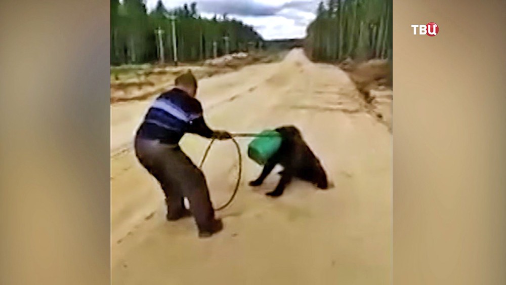 Мужчина пытается освободить застрявшего в канистре медведя
