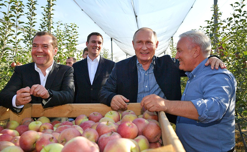 Владимир Путин и Дмитрий Медведев оценили урожай яблок
