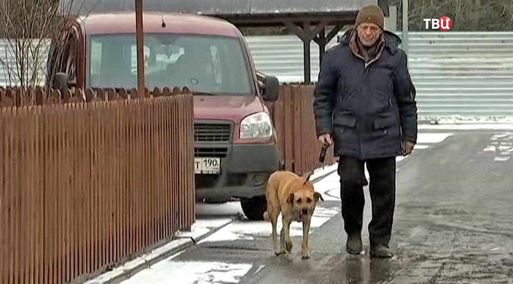 Пожилой мужчина гуляет с собакой