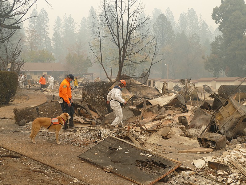 Последствия пожаров в Калифорнии 