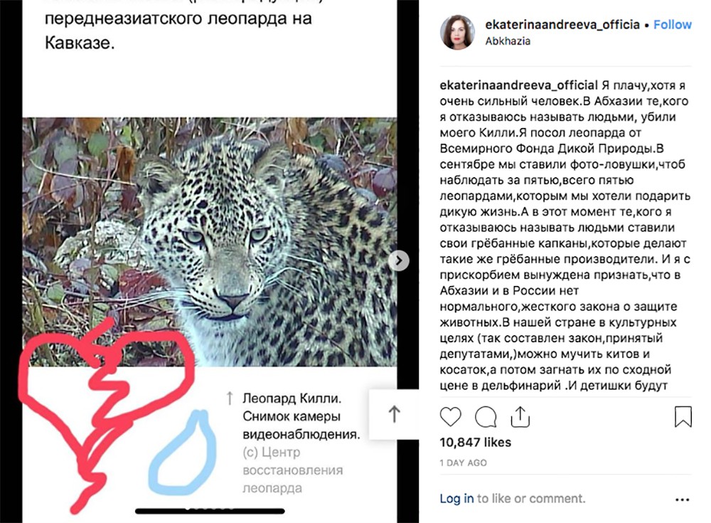 Скриншот из Instagram Екатерины Андреевой