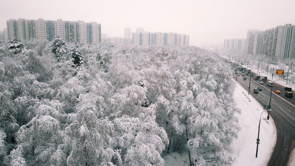 Снегопад в Москве