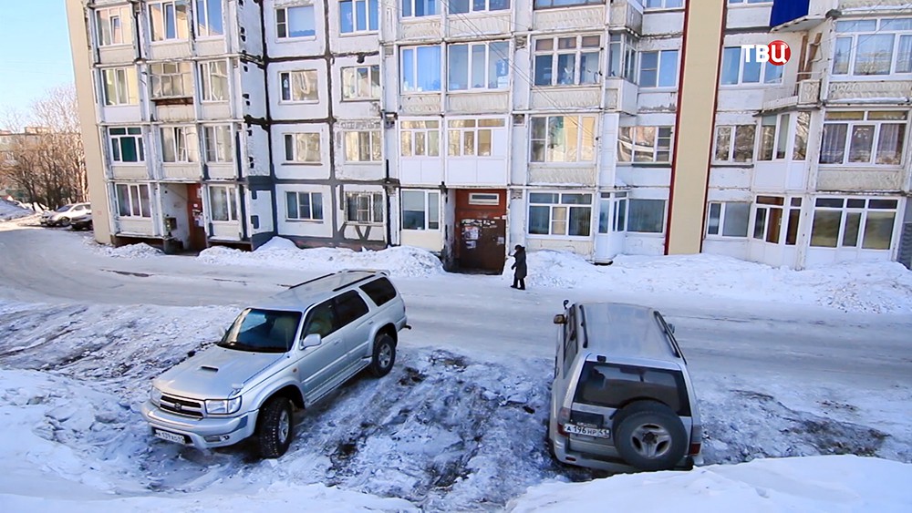 Место нападения бойцовской собаки на женщину