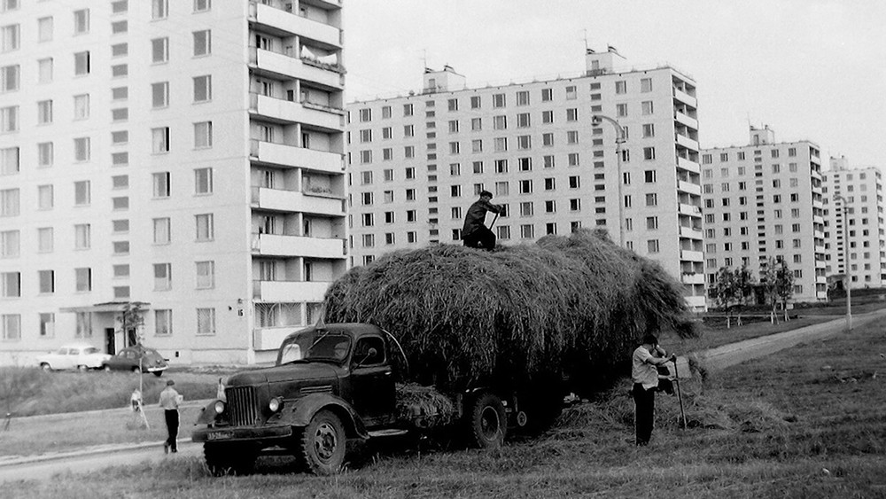 Социальная защита тропарево никулино телефон