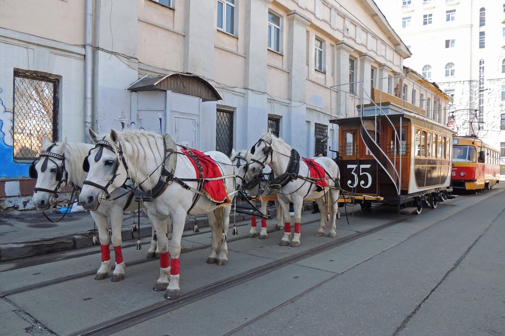 Фото москвичек на улицах москвы