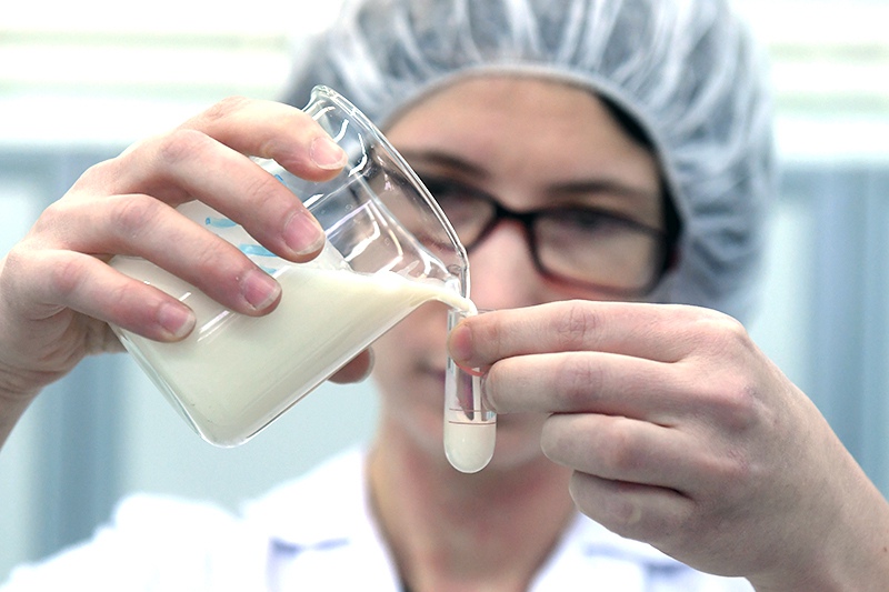 Проверка молока в лаборатории