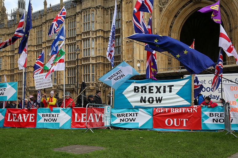 Участники акции сторонников Brexit в Лондоне