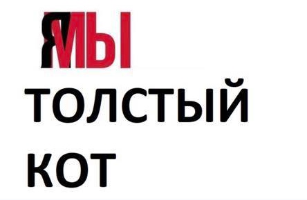 Кот Виктор 