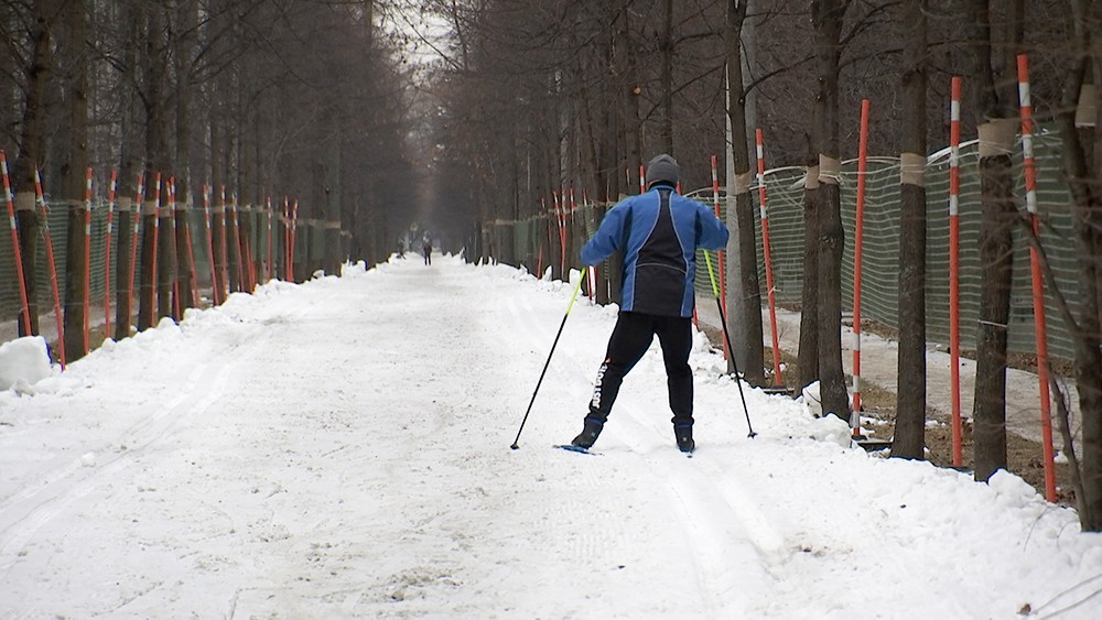 Парк Сокольники спорт