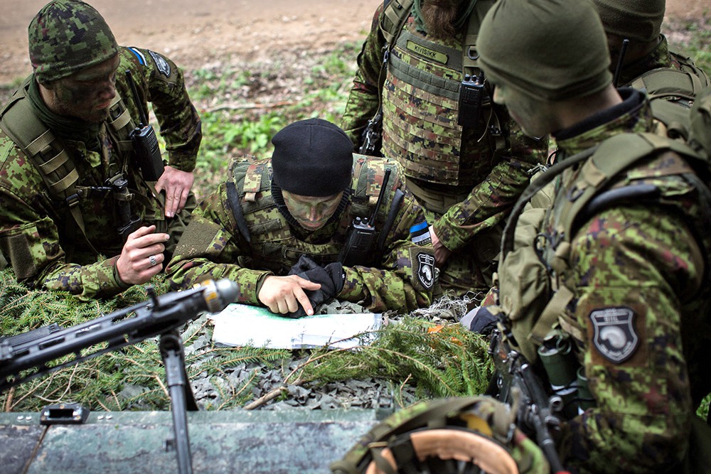 Военнослужащие армии Эстонии в системе сил НАТО