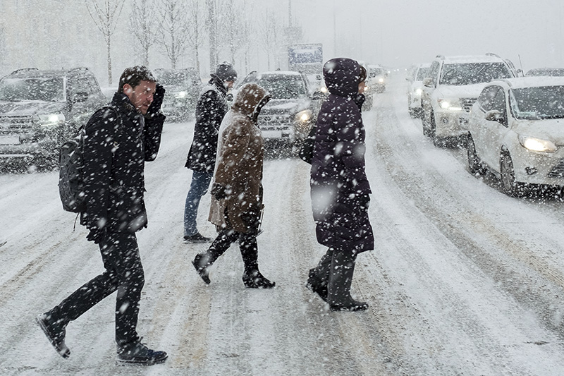 Пешеходы во время снегопада 