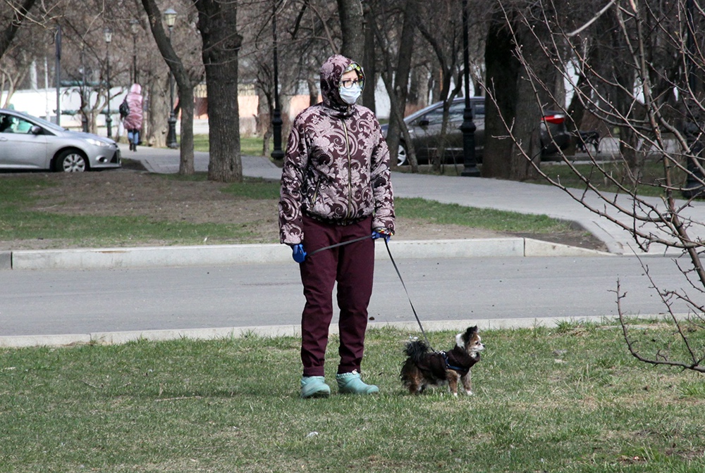 Женщина в медицинской маске гуляет с собакой