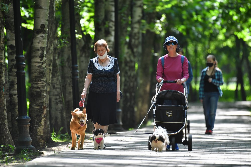 Прогулка по парку