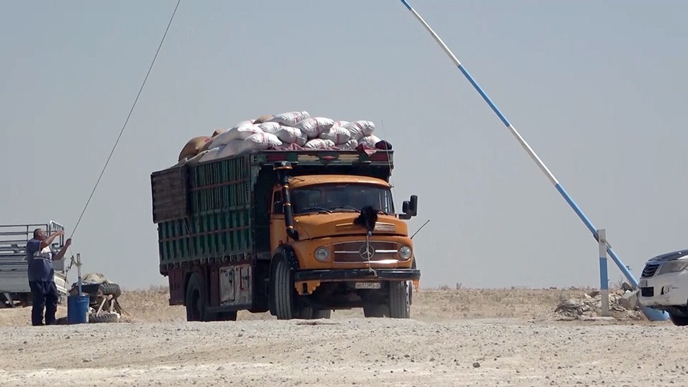 Производство зерновых в Сирии