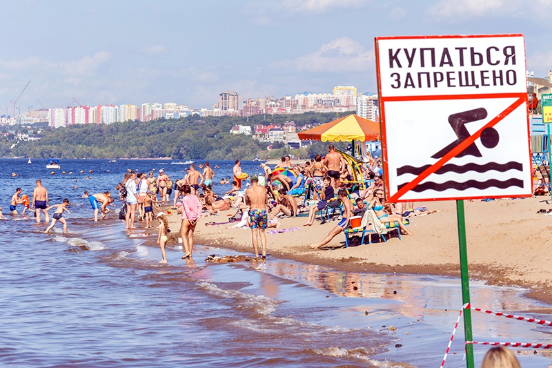 Дикие на пляже в москве