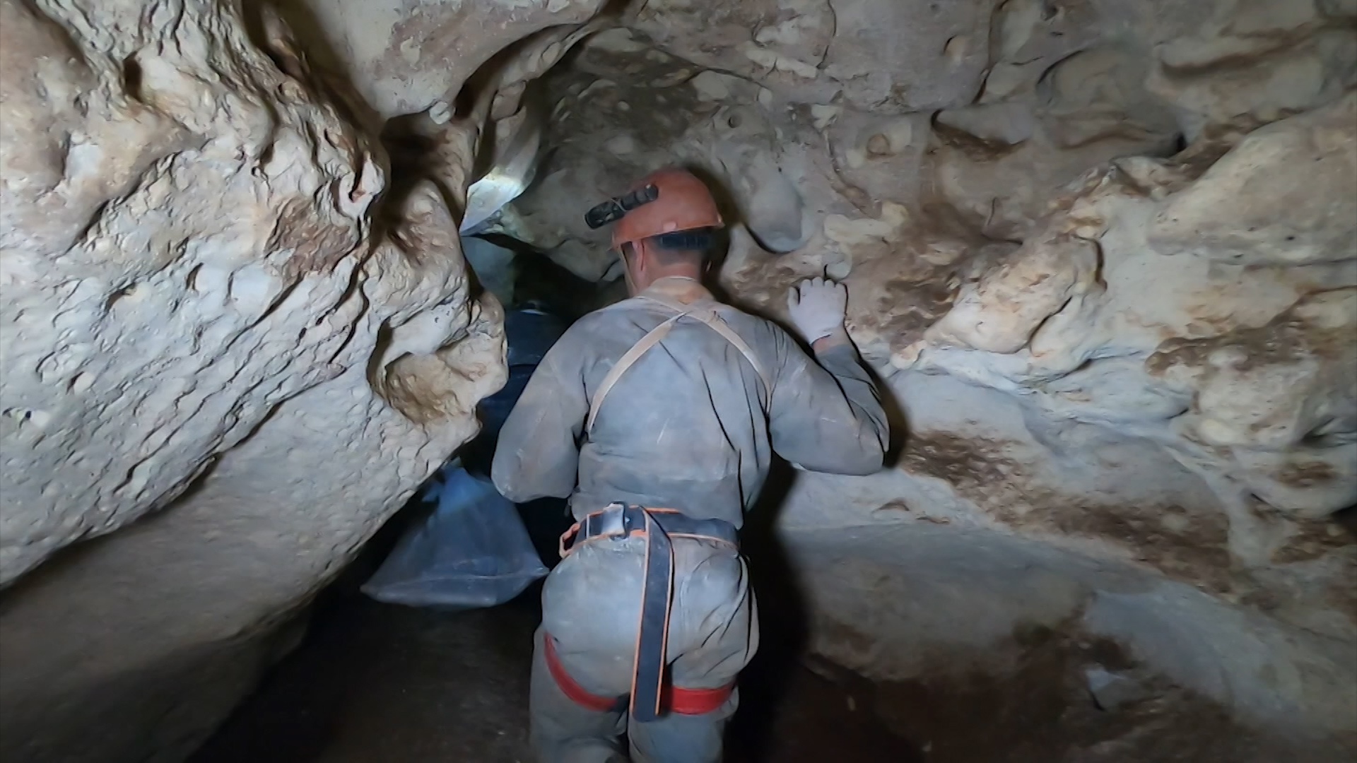 В крымской пещере нашли кости древнего носорога